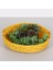Mylamp Rattan Kulp Tasarımlı Sarı 35X 7/8 Cm. Rattan Tepsi 1