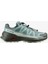 Speedcross Peak Gore-Tex Kadın Koşu Ayakkabısı Trooper L47974500 1