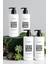 White Tea & Apricot Shampoo 380 ml + Conditioner 380 ml + Shower Gel 380 ml + Hand Wash 380 ml 2