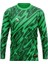 Erkek Uzun Kollu Yeşil Nefes Alabilen Kaleci Forması ve Şortu Goalkeeper Jersey Gk DMNF5587 2