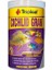 Tropical Cichlid Gran Cichlid Balıkları Için Renklendirici Granül Balık Yemi 250 ml 138 gr 1
