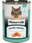 Pronature Tahılsız Somonlu Kısırlaştırılmış Konserve Kedi Maması 400 gr 1