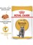 Royal Canin British Shorthair Adult Pouch Konserve Kedi Maması 85 gr 2