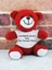 Kişiye Özel Peluş Ayıcık - Resimli Ayıcık - Sevgiliye Ayıcık - Kişiye Özel Ayıcık ( 25 cm ) 2
