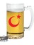 Ay Yıldız Baskılı Bira Bardağı - Bira Bardak 1