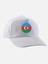 Azerbaycan Baskılı Şapka - Azerbaycan Bayraklı Şapka 1