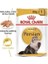 Royal Canin Persian Adult Iran Kedisi Pouch Konserve Kedi Maması 85 gr 2