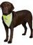 Trixie Köpek Bandanalı Tasma Xlarge 42-60 cm 1