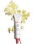 Clr Clear-Out Targets Imperfections - Leke Giderici Jel 15 ml 2