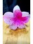 Lüks Figürlü Parıltılı Küçük Pembe Lotus Toka 1