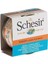 Schesir Broth Naturel Sauce Ton Balıklı Pouch Yetişkin Konserve Kedi Maması 70 gr 1