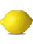 Tüplü Aşılı Lamas Limon 2 Yaş Boy 90-110 cm 1