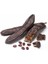 Tüplü Keçi Boynuzu (Harnup) Fidanı 80-110CM 1