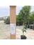 Tüplü Aşılı Kokulu Bodrum Mandalinası Yaş 1-2 Boy 90-110CM 2