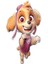 Paw Patrol Skye Balon 1