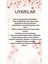 Multi Bubble Üçlü Set Soft Pastel Renkli Mum 6