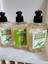 Stevia 3