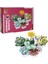 S00004685 Blx Flower Set Sculent 971 Prç -Sun 1