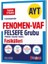 Ayt Vaf Felsefe Fasikülleri Seti 1