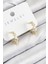 Erb Pirinç Zirkon Taşlı Yıldız Model Gold Renk Kadın Küpe 1
