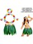 Yetişkin Hawaii Kostüm Seti - Yaprak Etek Hawaii Set - 5 Parça 1