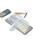 Aula Wolf Spider F3061 Mini Mekanik Hisli Klavye 61 Tuş Kablolu Rgb Masaüstü Dizüstü Tablet Taşınabilir (Yurt Dışından) 1