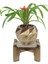 Ayaklı Saksı Ahşap Büyük Boy 1 Adet Altın Renk Eskitme Uygulamalı Dönen Poly Model 6