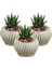 Dekoratif Saksı Minik Kaktüs Saksısı Derin Çizgili Spiral 6
