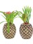 Saksı Çiçek Kaktüs Saksısı Lüx 15 cm Ananas Desenli 2'li Set Çiçeklik 6
