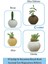 Mini Çiçek Saksı Küçük Sukulent Kaktüs Saksısı 3'lü Set Ince Çizgili Spiral Model 12