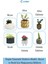 Mini Çiçek Saksı Küçük Sukulent Kaktüs Saksısı 3'lü Set Ince Çizgili Spiral Model 13