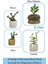 Mini Çiçek Saksı Küçük Sukulent Kaktüs Saksısı 3'lü Set Kaktüs Desenli Model 12