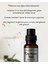 Çay Ağacı Uçucu Yağı 10 ml 2