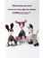 Köpek Isırma Sesi Komik, Eşek Isırmaya Da Lı Diş Peluş Oyuncak (Yurt Dışından) 5