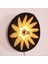 Mylamp Maya 77X15 cm Çap- Doğal Abaka Duvar Apliği 2