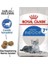 Royal Canin Indoor 7+ Senior Yaşlı Kedi Maması 3.5 kg 3