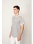 Gri Regular Fit Bisiklet Yaka Erkek T-Shirt E1024 2