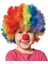 Çocuk Için Gösterileri Palyaço Bonus Peruk ve Burun Seti 80 gr Retro 1