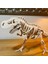 T-Rex Puzzle – Dinozor Iskelet Modeli 1