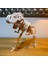 T-Rex Puzzle – Dinozor Iskelet Modeli 2