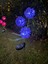 Güneş Enerjili 3 Kafalı Ortanca Dış Mekan Dekoratif LED Işık Solar Hydrangea Light 2