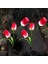 Güneş Enerjili 3 Kafalı Lale Işıkları Dış Mekan LED Aydınlatma Solar Tulip Lights 1