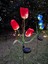 Güneş Enerjili 3 Kafalı Lale Işıkları Dış Mekan LED Aydınlatma Solar Tulip Lights 3