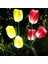 Güneş Enerjili 3 Kafalı Lale Işıkları Dış Mekan LED Aydınlatma Solar Tulip Lights 4