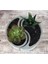 Yin Yang Saksı Mumluk Silikon Kalıp K-487 7