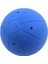 Wv Zilli Goalball Topu 25 cm – 1250 G 1