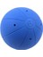 Wv Zilli Goalball Topu 25 cm – 1250 G 3