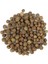 Yenibahar Bütün 250 gr 1