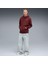 Ess Elevated Wash Hoodie Erkek Bordo Günlük Stil Sweatshirt 68804996 3