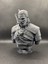 The Witcher Geralt Of Rivia Büst Figürü - 14 cm 3
